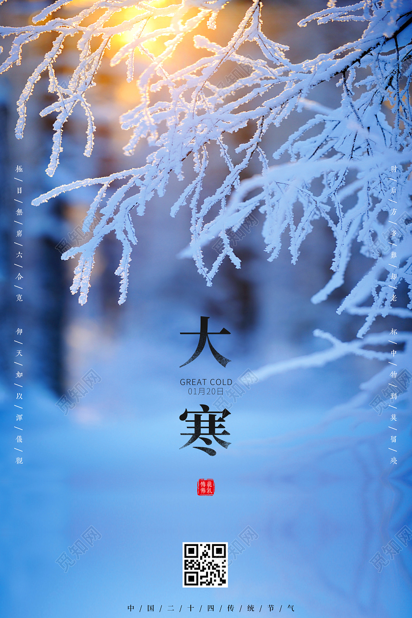 深蓝唯美实拍24节气二十四节气大寒海报