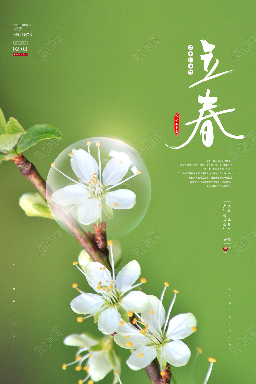 立春节气海报