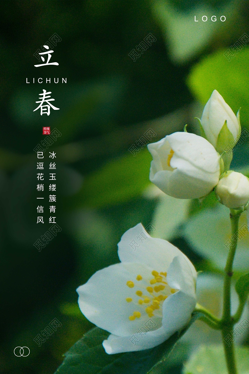 绿色简约立春二十四节气海报