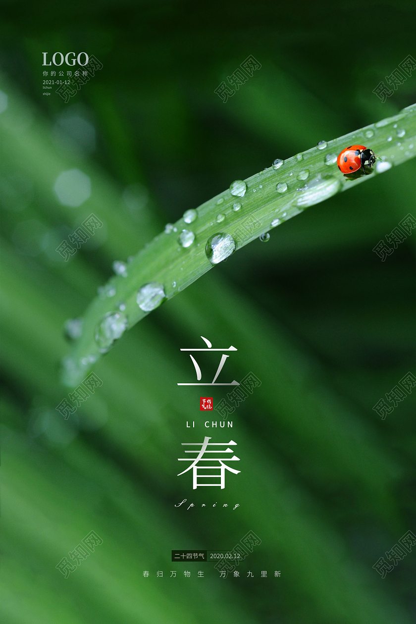 灰色简约立春传统二十四节气宣传海报