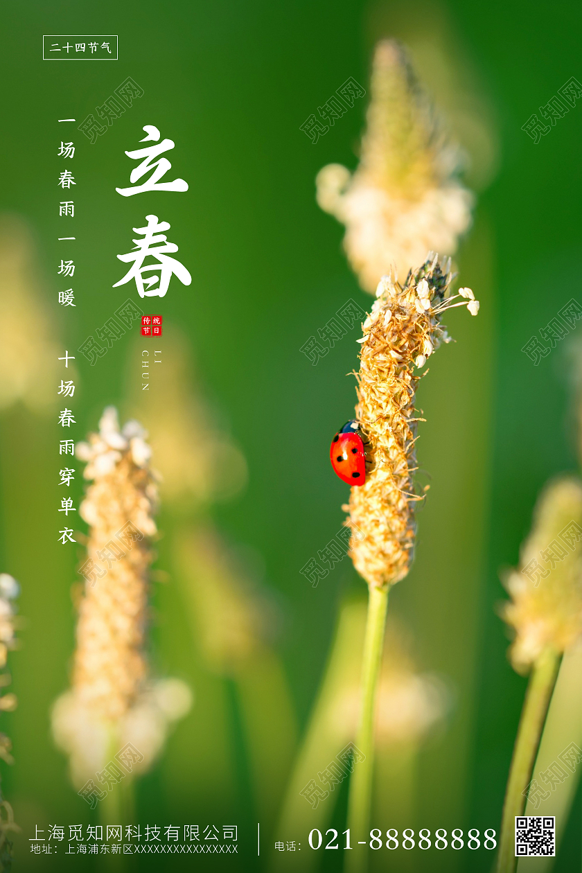 绿色简约立春海报