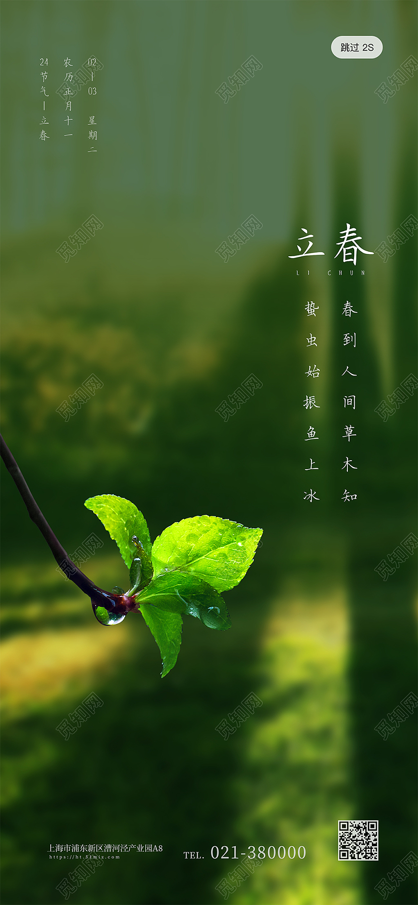 绿色 立春二十四节气手机h5海报立春h5手机海报启动页
