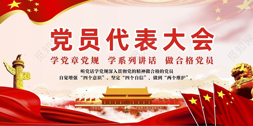 红色创意党政党建党课大气党员代表大会展板