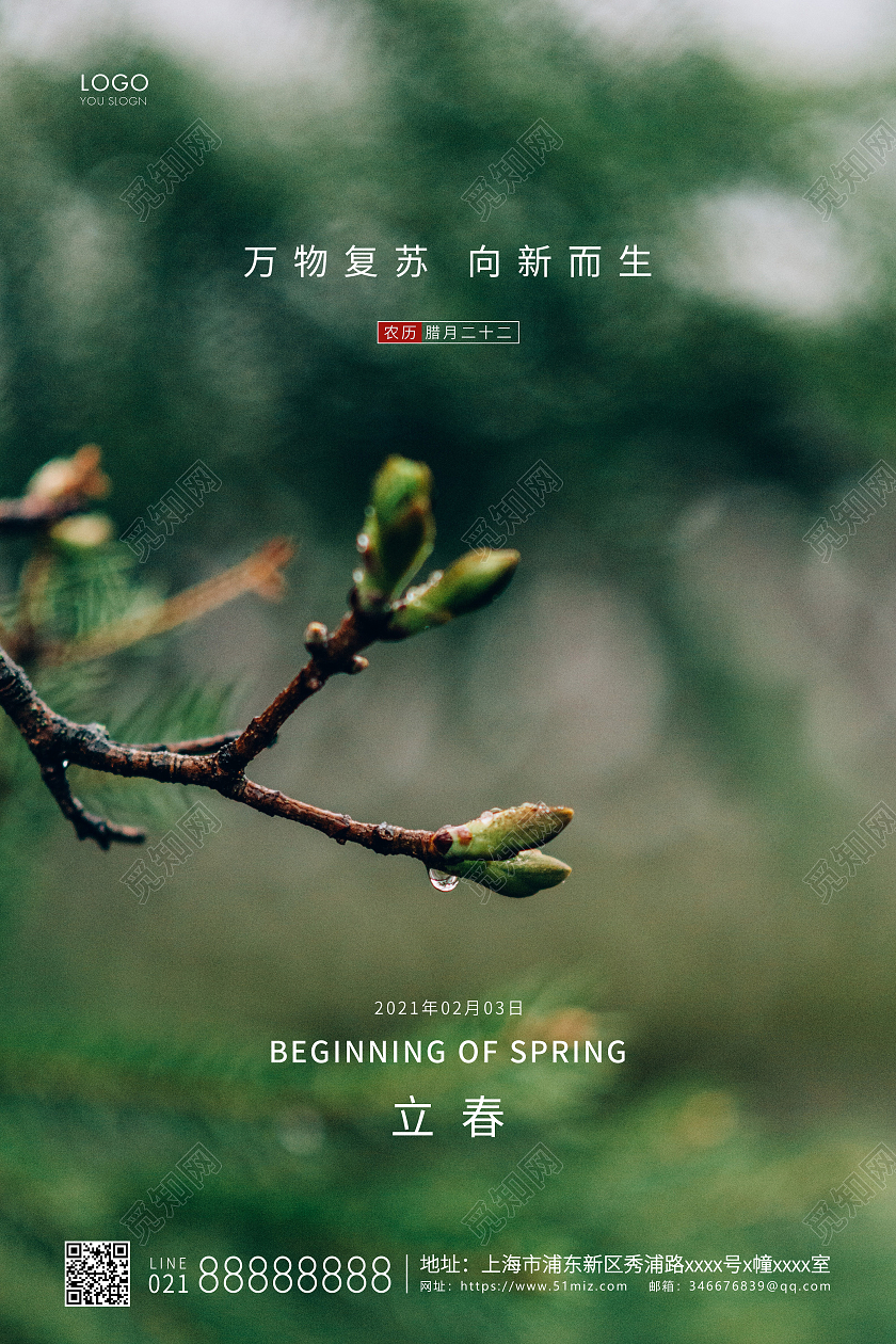 绿色简约二十四节气立春节气宣传海报