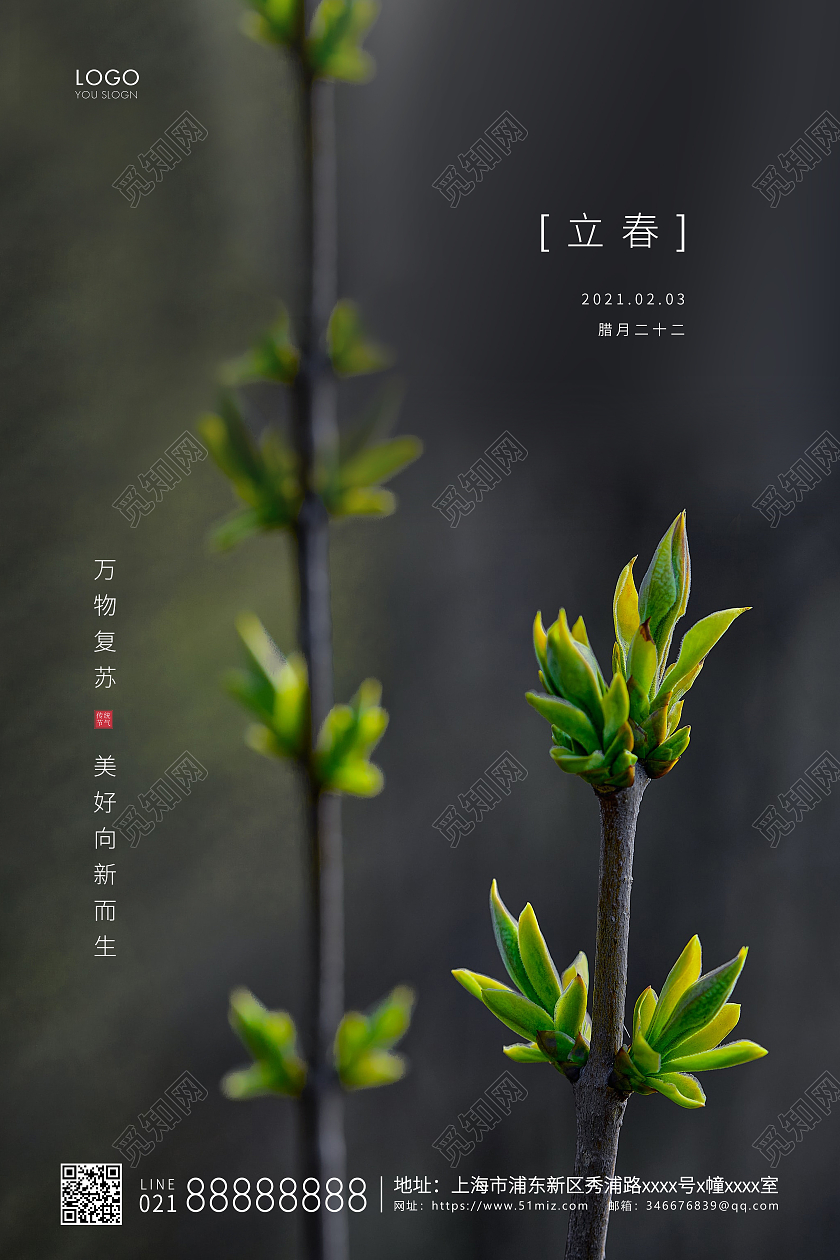 绿色简约二十四节气立春节气宣传海报
