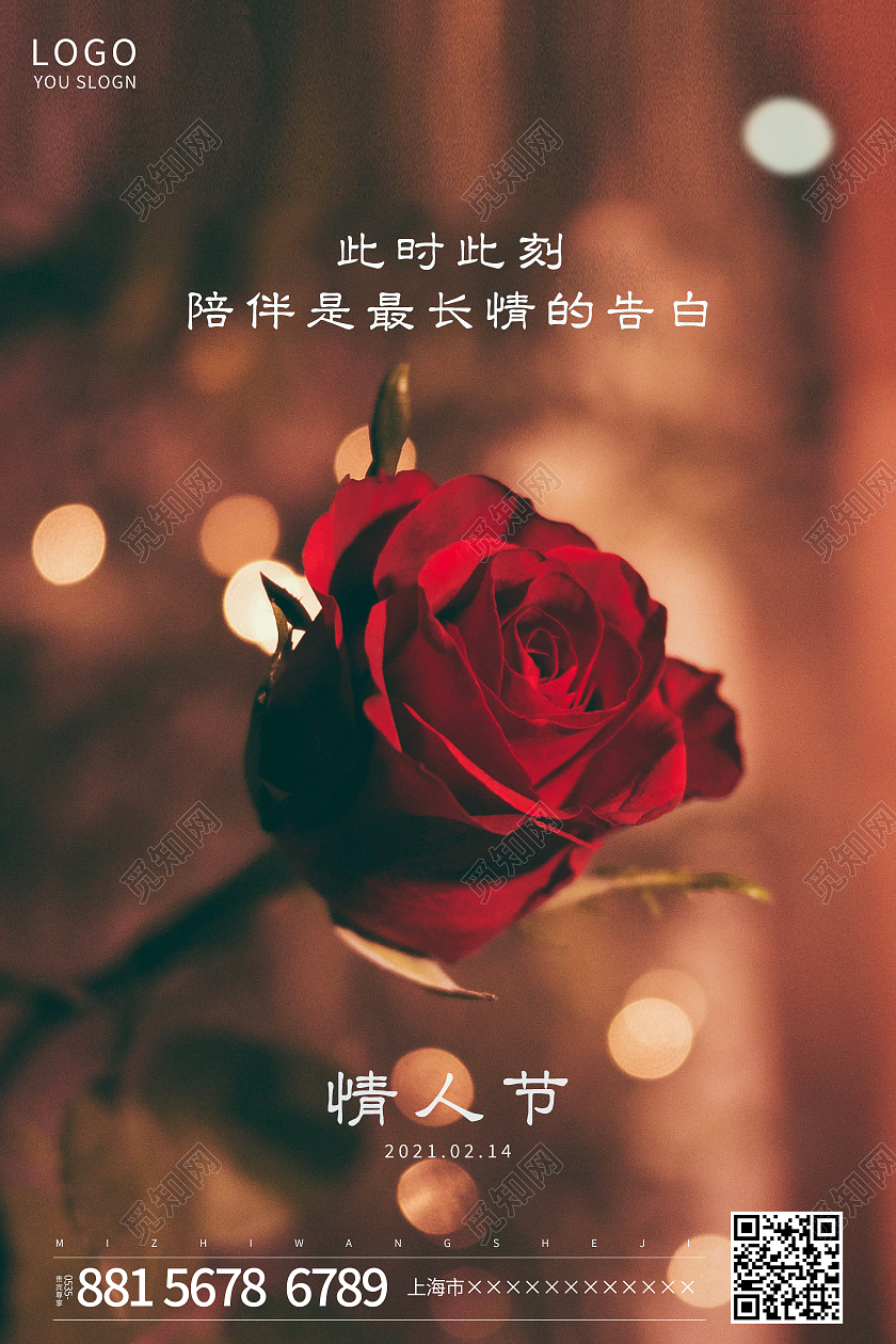 黄色摄影图玫瑰花214情人节海报