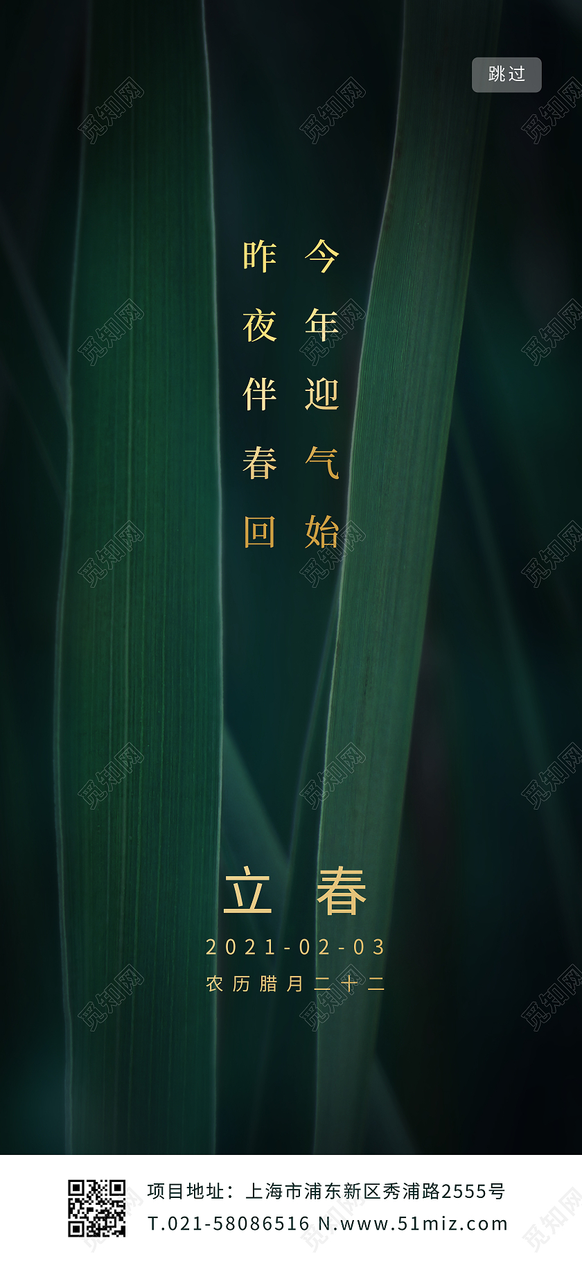 绿色叶子背景二十四节气之立春雨水海报