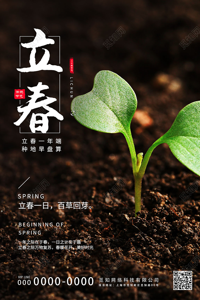 黑色简约土地树苗二十四节气立春节气宣传海报