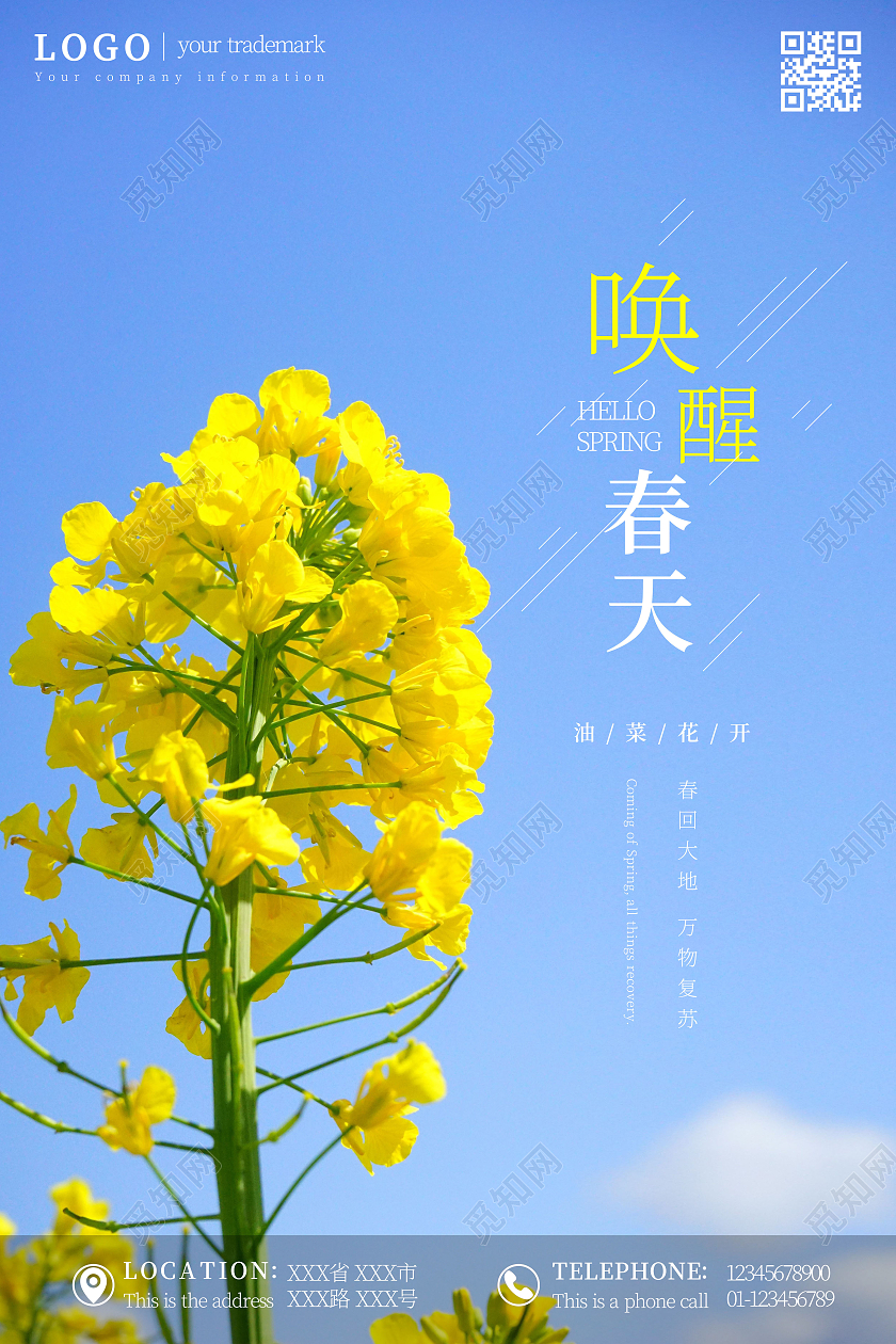 简约黄色小清新油菜花唤醒春天海报
