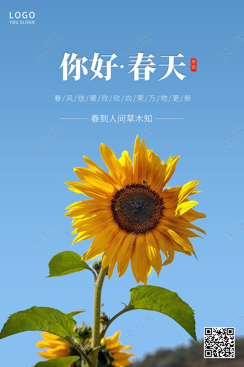 蓝色摄影图向日葵你好春天海报春天你好你好春天
