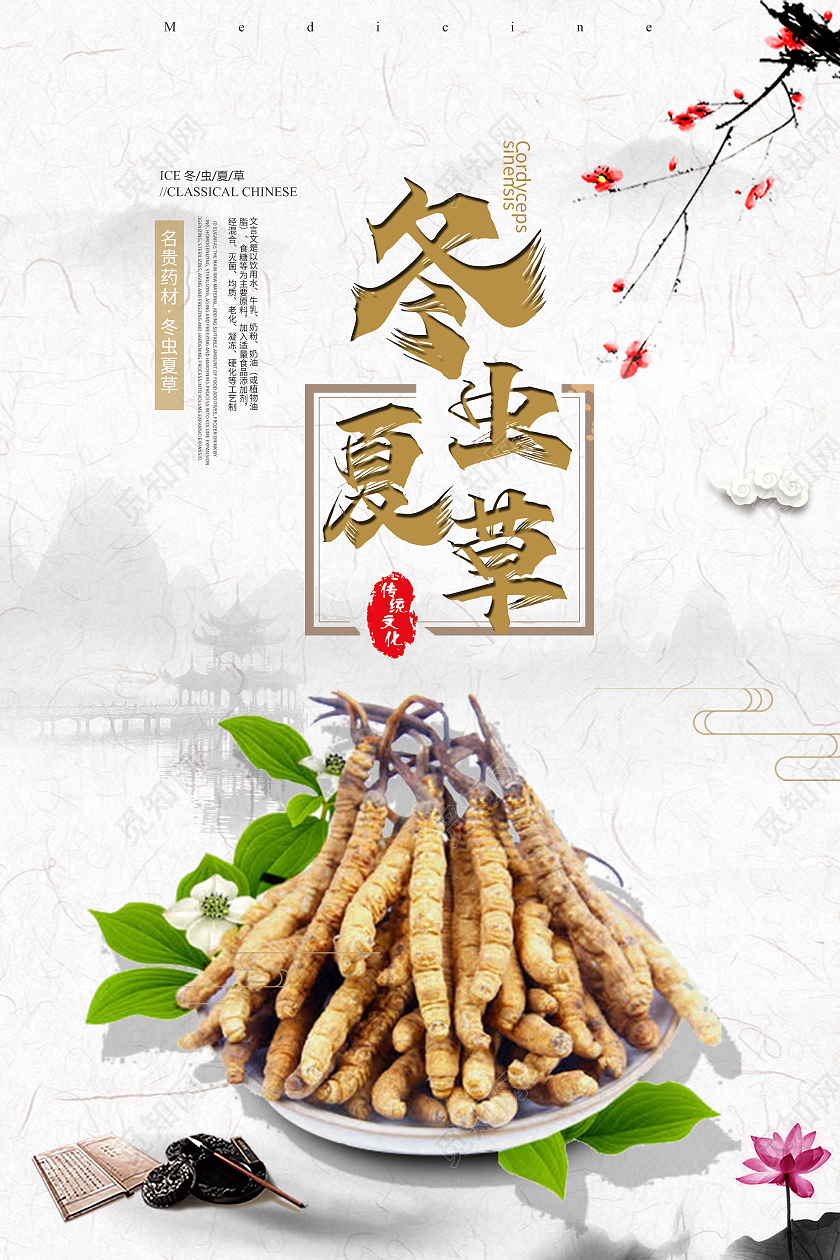 简约中国风水墨国风背景冬虫夏草草药中药药材海报宣传模板