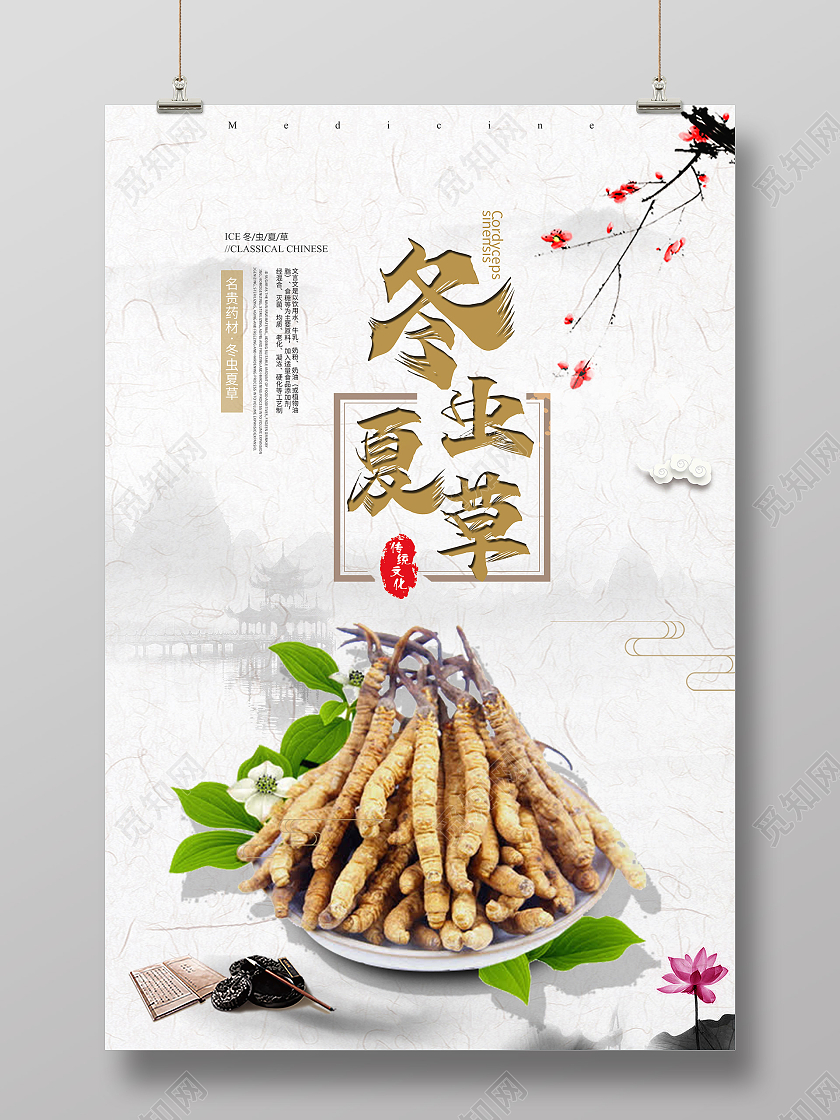 简约中国风水墨国风背景冬虫夏草草药中药药材海报宣传模板