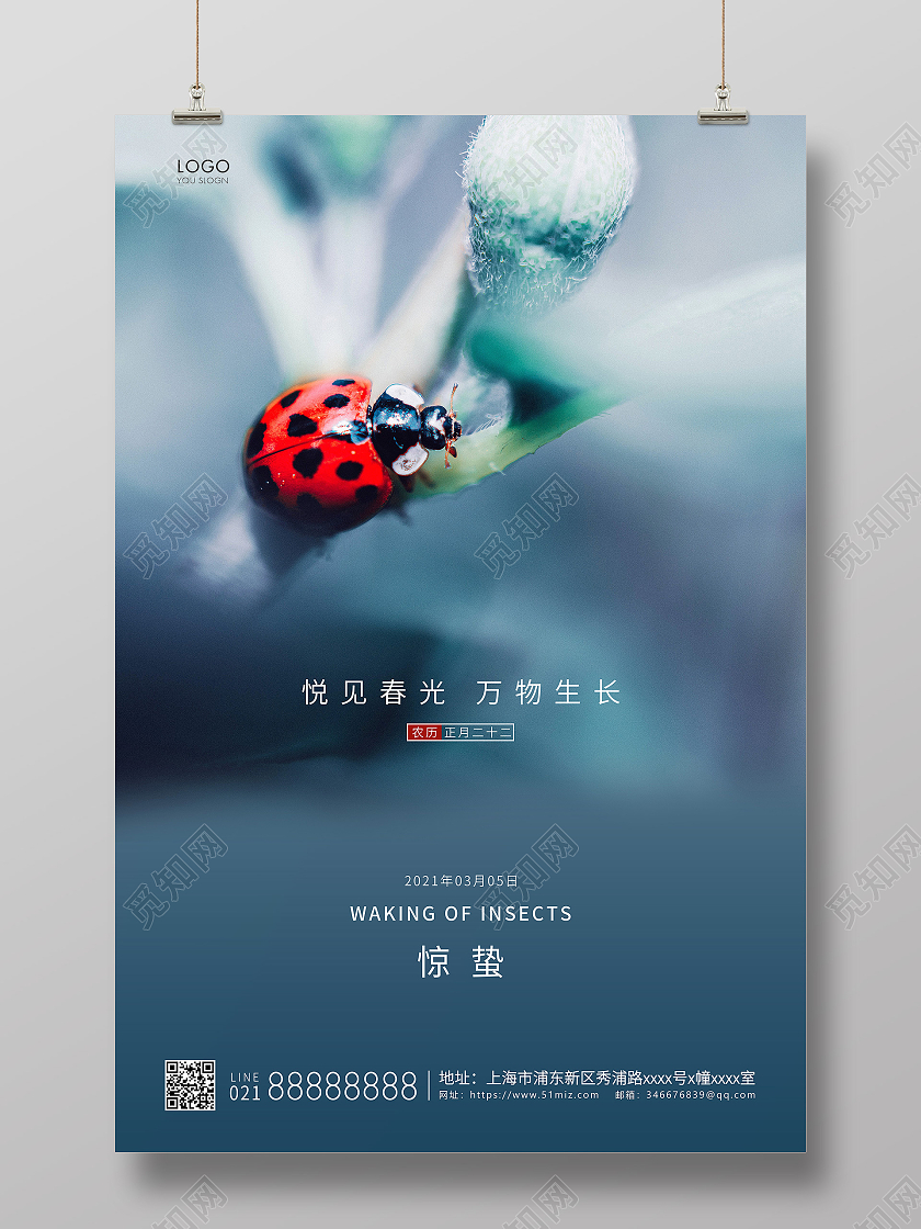 蓝色简约二十四节气惊蛰节气宣传海报24节气二十四节气惊蛰