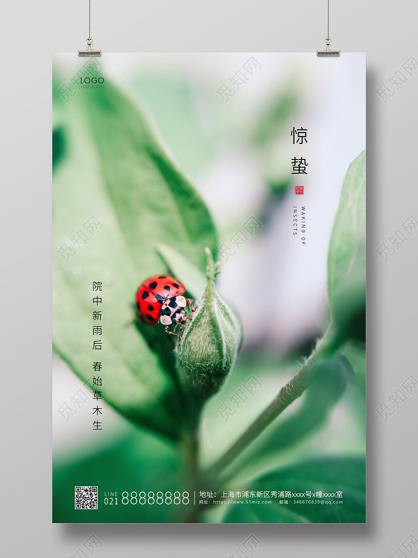 绿色简约二十四节气惊蛰节气宣传海报24节气二十四节气惊蛰