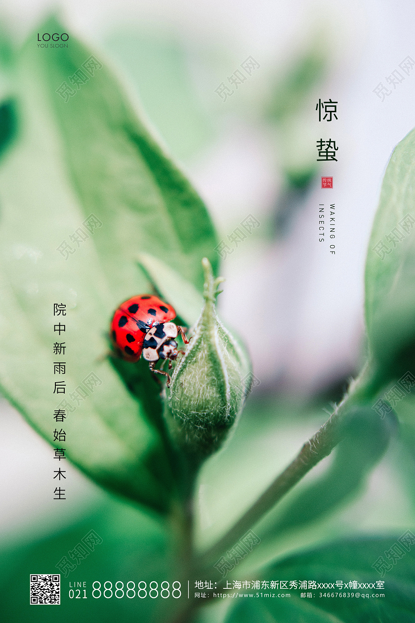 绿色简约二十四节气惊蛰节气宣传海报24节气二十四节气惊蛰