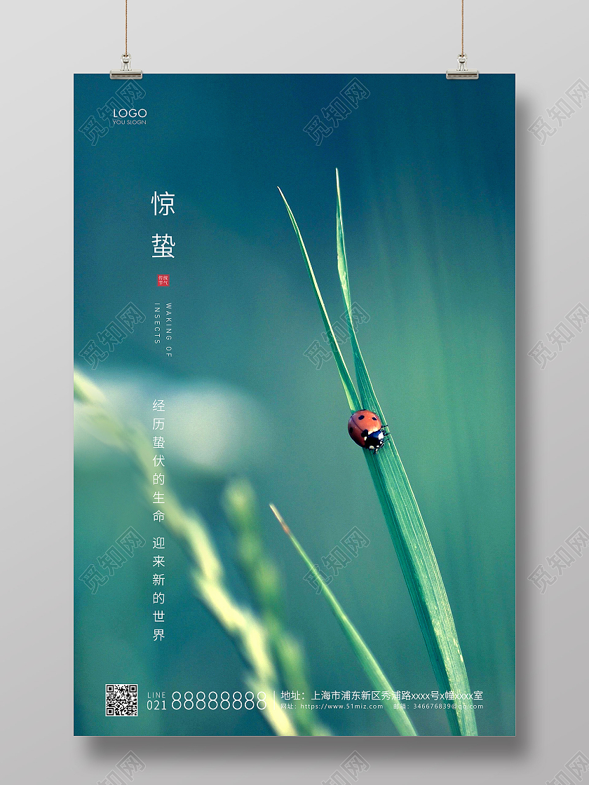 绿色简约二十四节气惊蛰节气宣传海报24节气二十四节气惊蛰