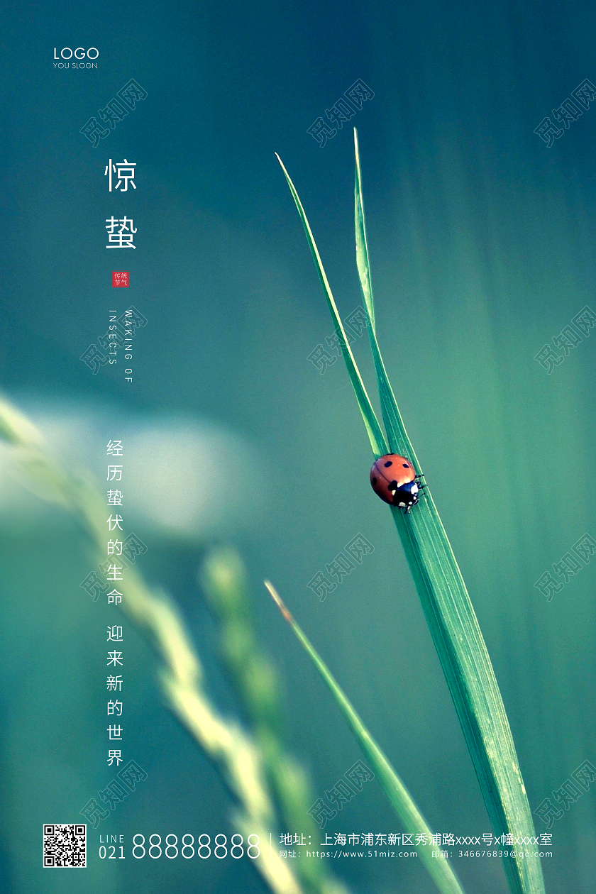 绿色简约二十四节气惊蛰节气宣传海报24节气二十四节气惊蛰