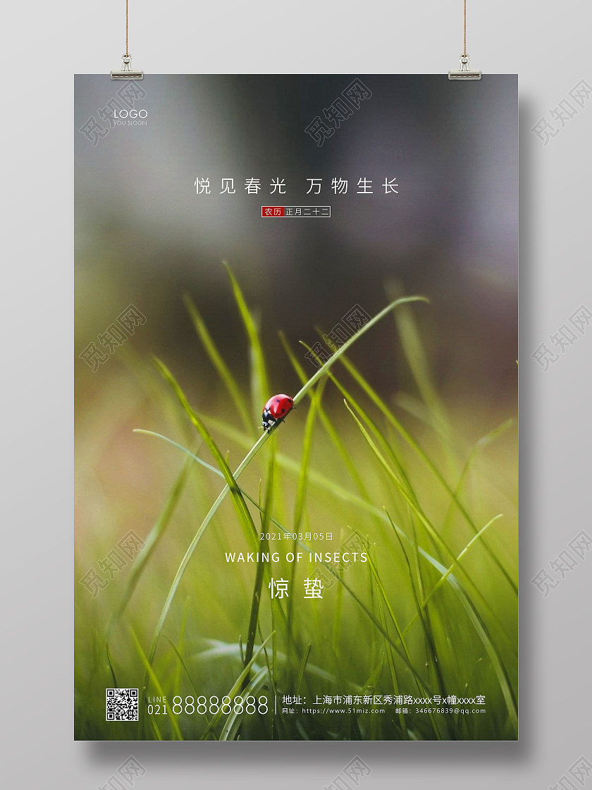 绿色简约二十四节气惊蛰节气宣传海报24节气二十四节气惊蛰