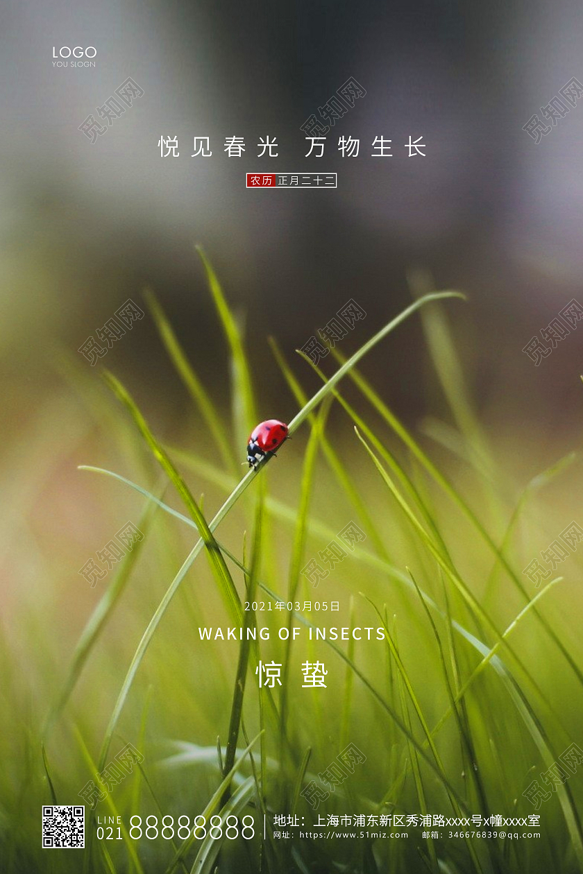 绿色简约二十四节气惊蛰节气宣传海报24节气二十四节气惊蛰