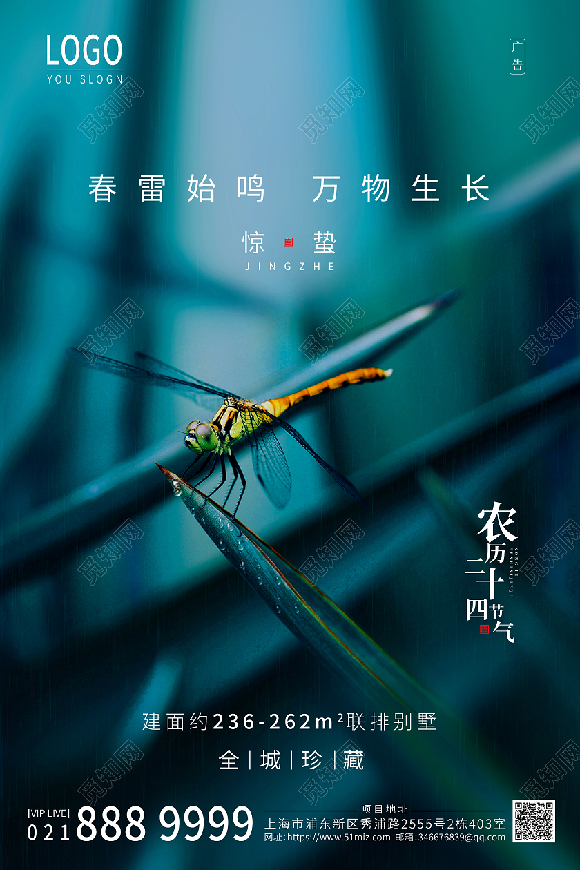 绿色背景24节气惊蛰海报二十四节气惊蛰24节气二十四节气惊蛰