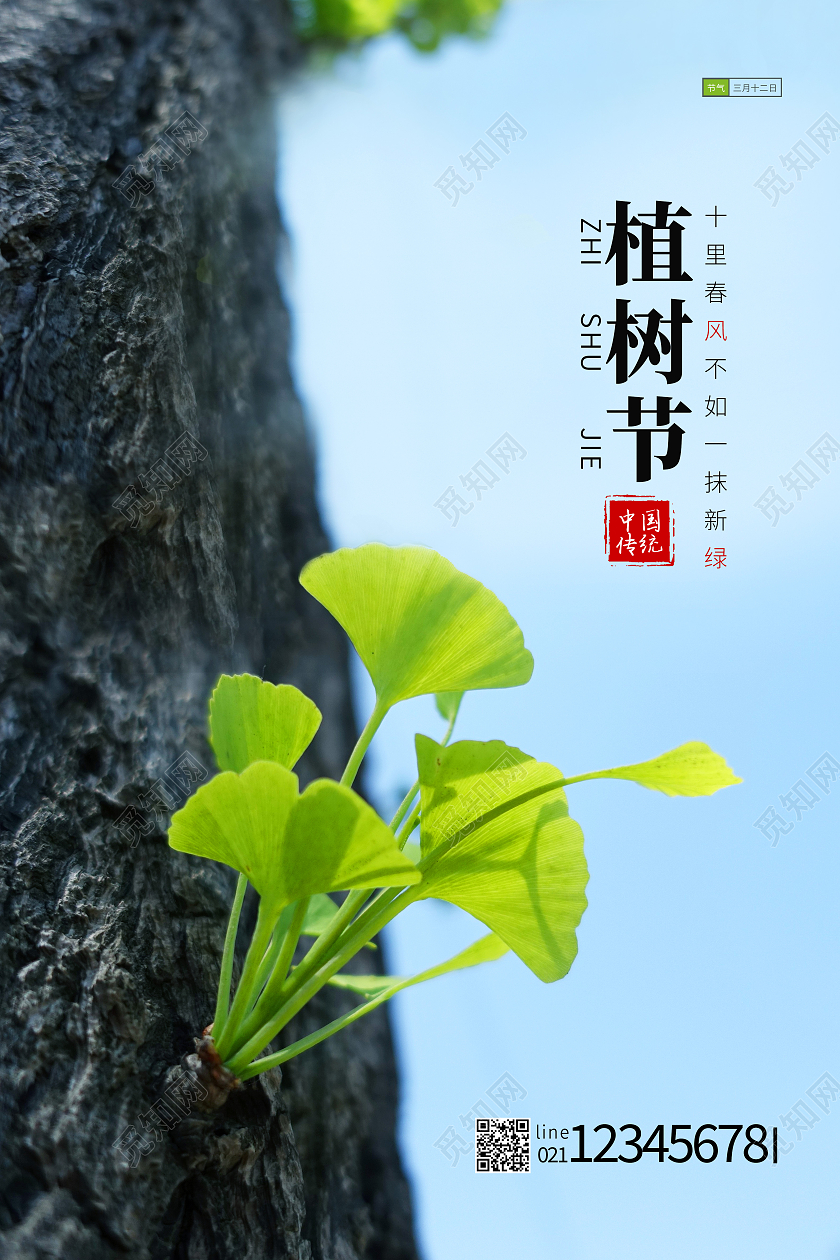绿色意境三月十二日植树节海报312植树节