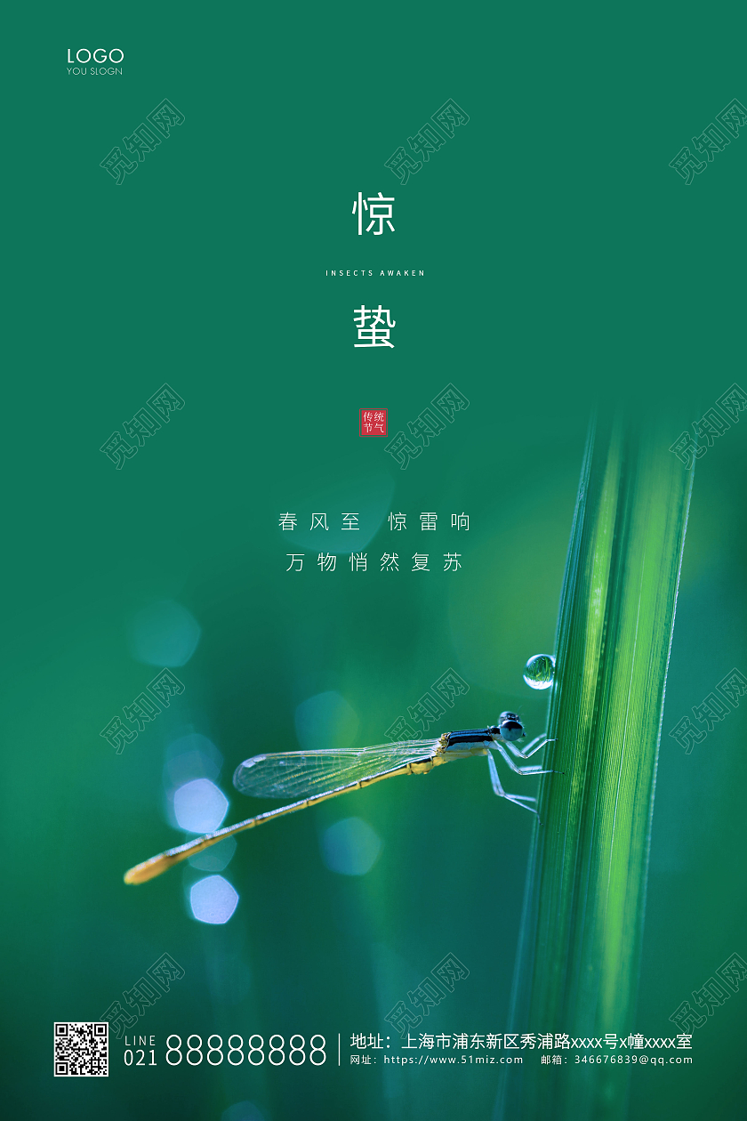 绿色简约二十四节气惊蛰节气宣传海报24节气二十四节气惊蛰