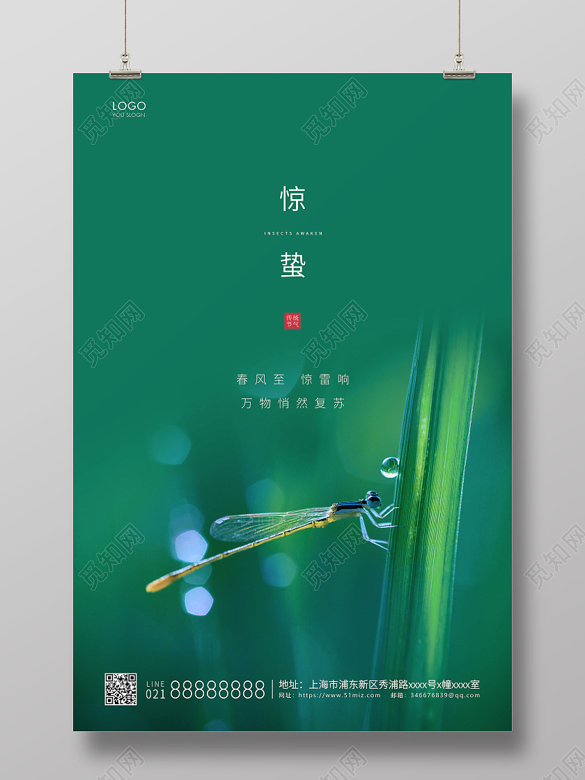 绿色简约二十四节气惊蛰节气宣传海报24节气二十四节气惊蛰