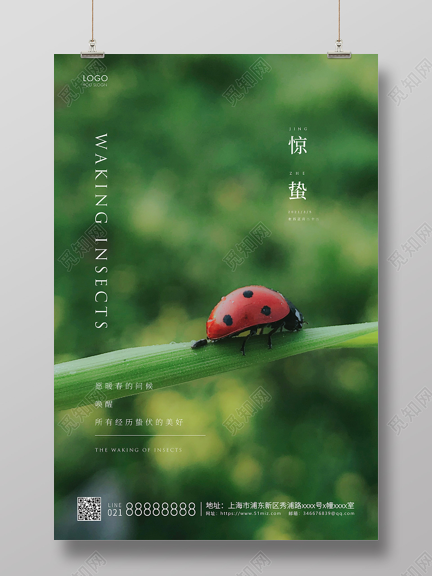 绿色简约二十四节气惊蛰节气宣传海报24节气二十四节气惊蛰