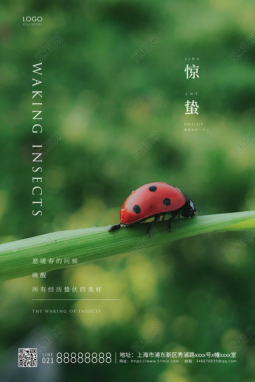 绿色简约二十四节气惊蛰节气宣传海报24节气二十四节气惊蛰