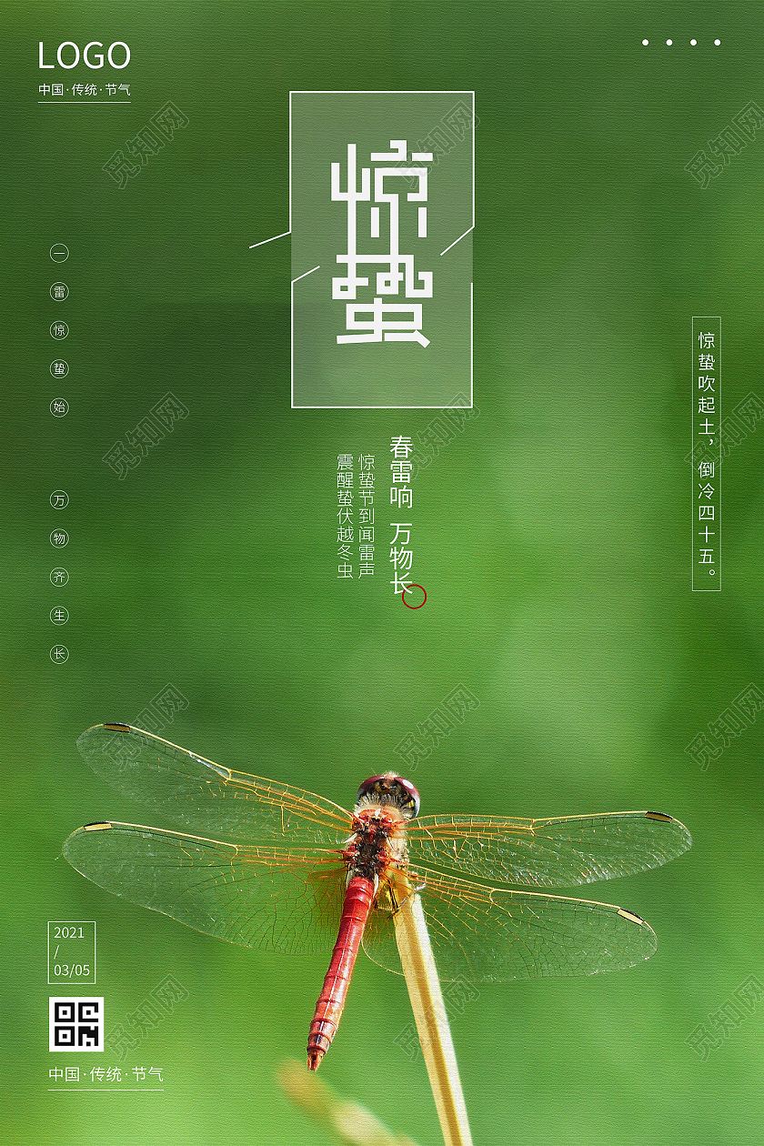 惊蛰中国传统节气春天蜻蜓宣传海报24节气二十四节气惊蛰