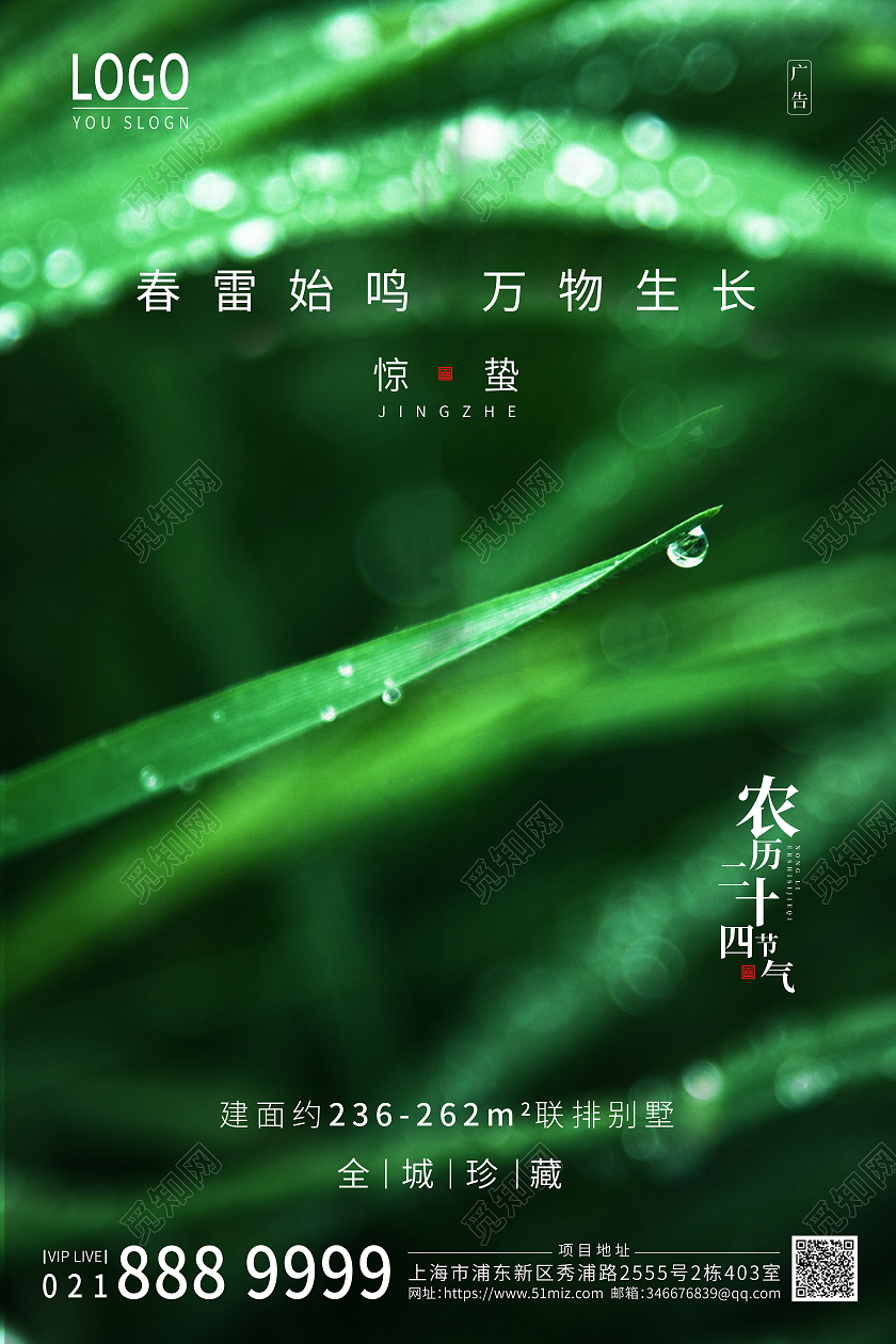 绿色背景24节气惊蛰海报二十四节气惊蛰24节气二十四节气惊蛰