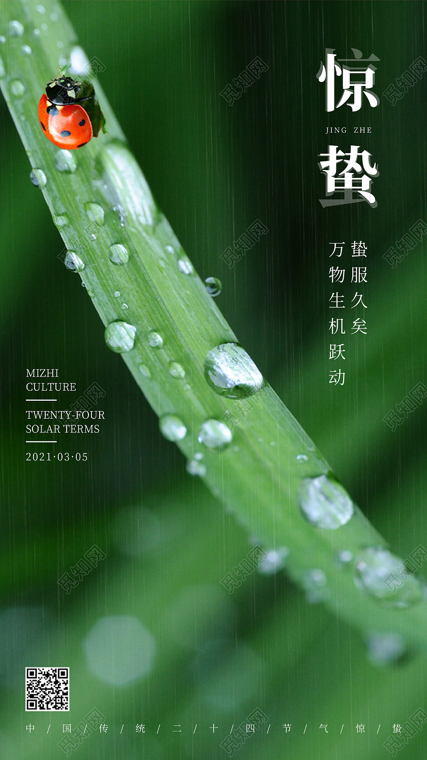 绿色简约清新二十四节气惊蛰手机启动页UI海报