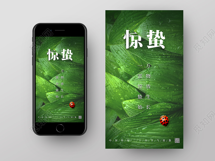 绿色简约清新二十四节气惊蛰手机启动页UI海报