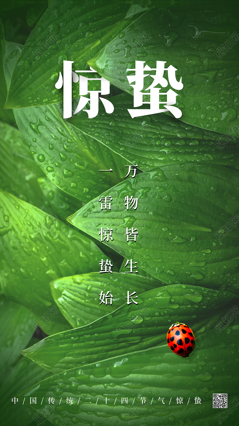 绿色简约清新二十四节气惊蛰手机启动页UI海报