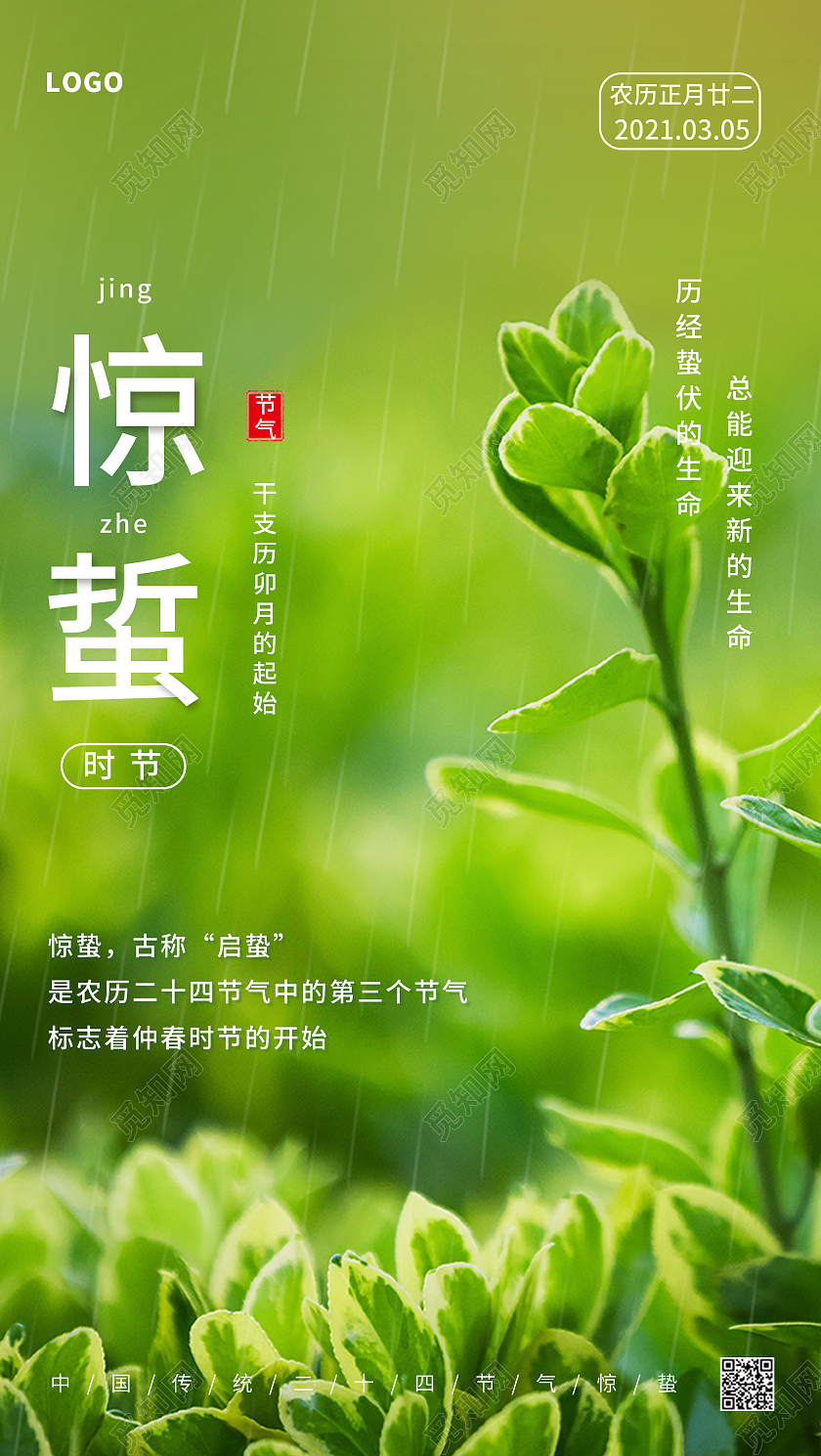 绿色简约清新二十四节气惊蛰手机手机启动页UI海报
