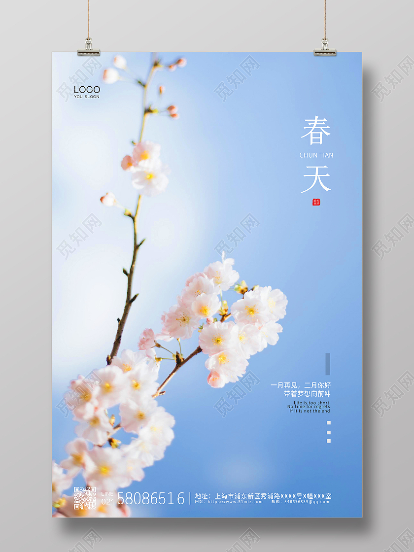 白色大气简约摄影背景春季春天宣传海报