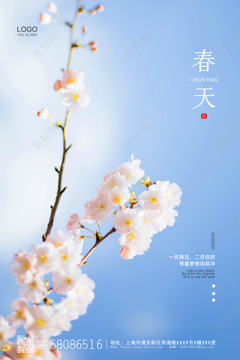 白色大气简约摄影背景春季春天宣传海报