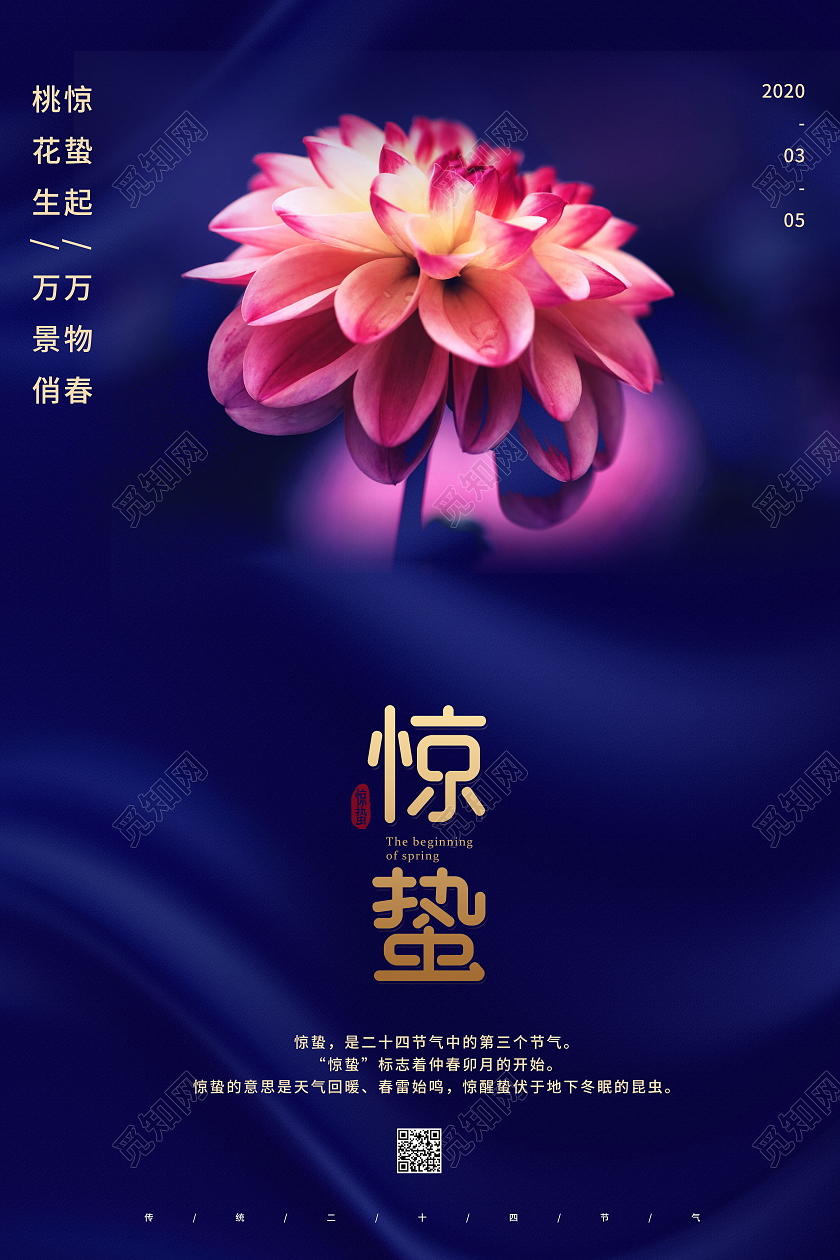 中国传统节日二十四节气惊蛰海报