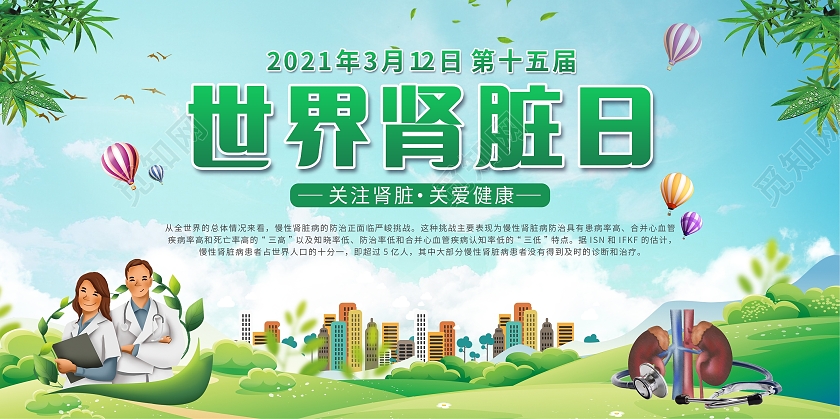 绿色背景世界肾脏日展板