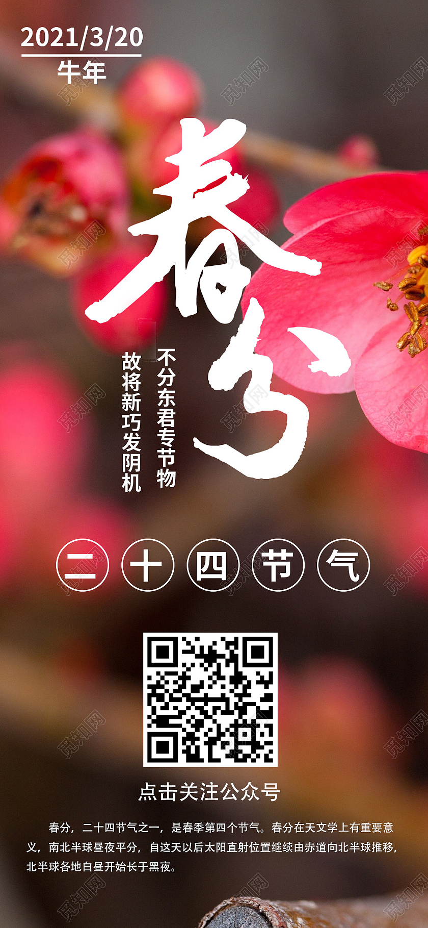 绿色风景春分ui手机海报