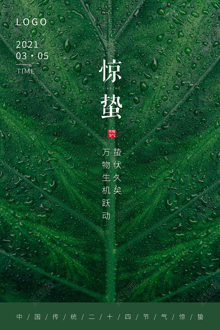 绿色简约惊蛰2021海报24节气二十四节气惊蛰