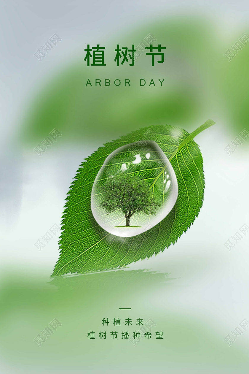 白色简约312植树节海报