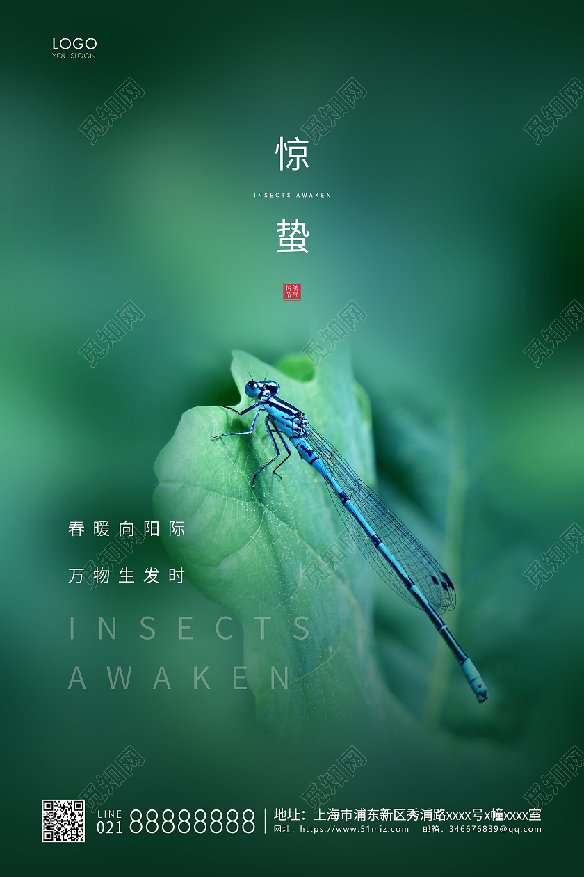 绿色简约二十四节气惊蛰节气宣传海报24节气二十四节气惊蛰