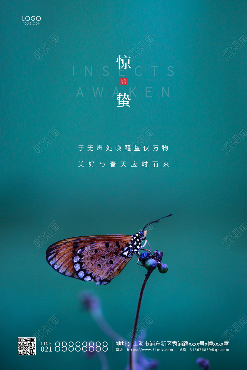 蓝色简约二十四节气惊蛰节气宣传海报24节气二十四节气惊蛰