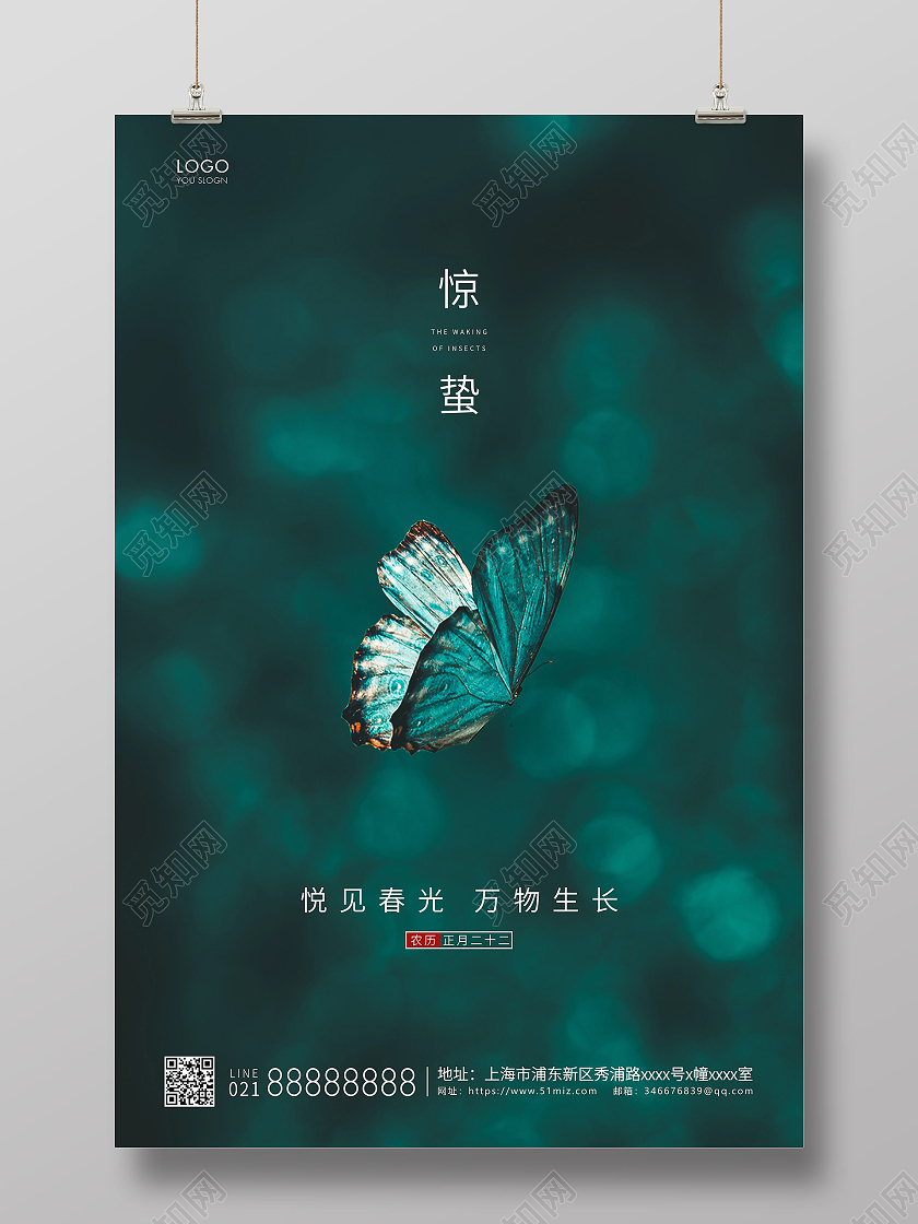 绿色简约二十四节气惊蛰节气宣传海报24节气二十四节气惊蛰
