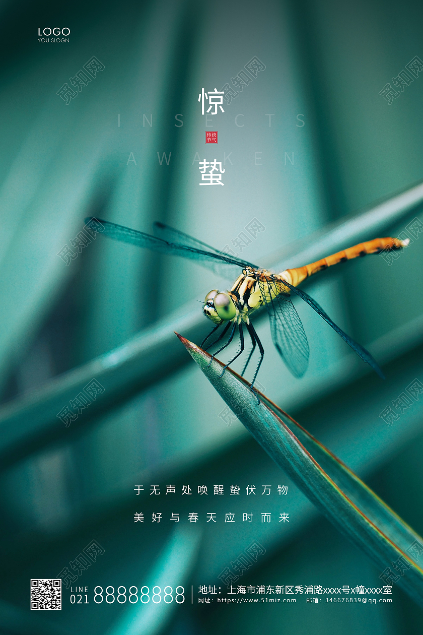 绿色简约二十四节气惊蛰节气宣传海报24节气二十四节气惊蛰