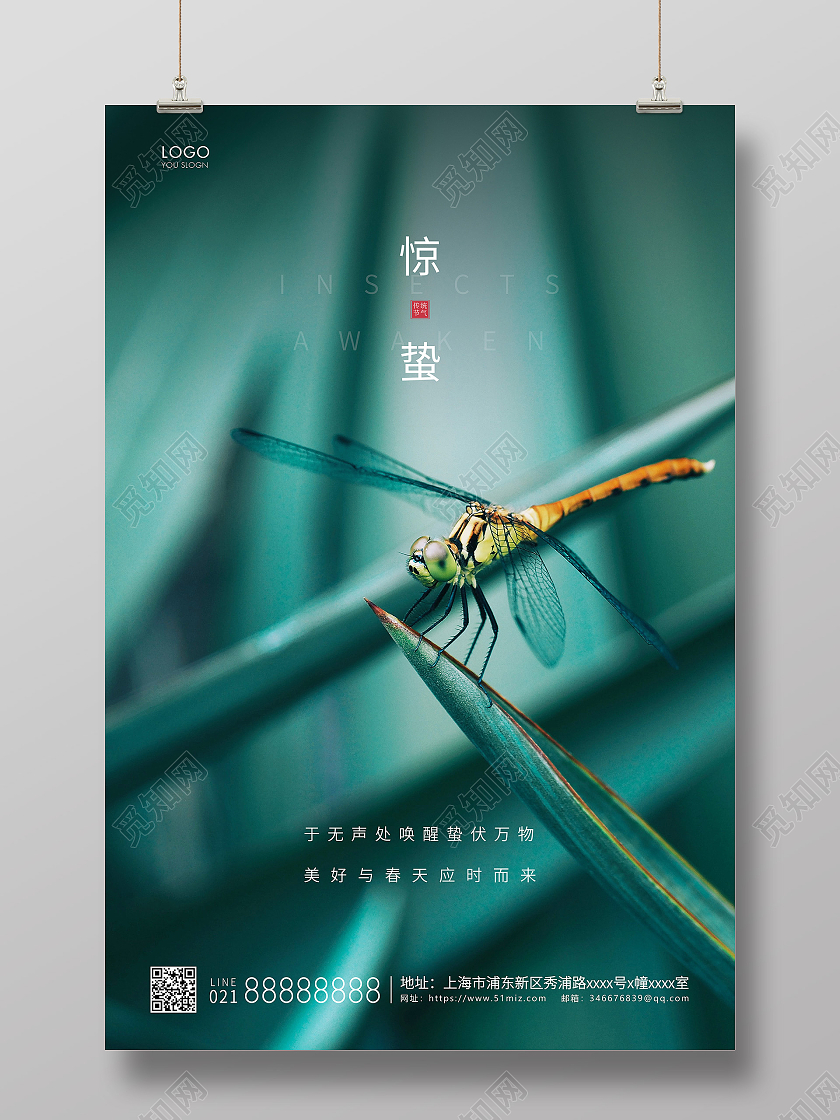 绿色简约二十四节气惊蛰节气宣传海报24节气二十四节气惊蛰