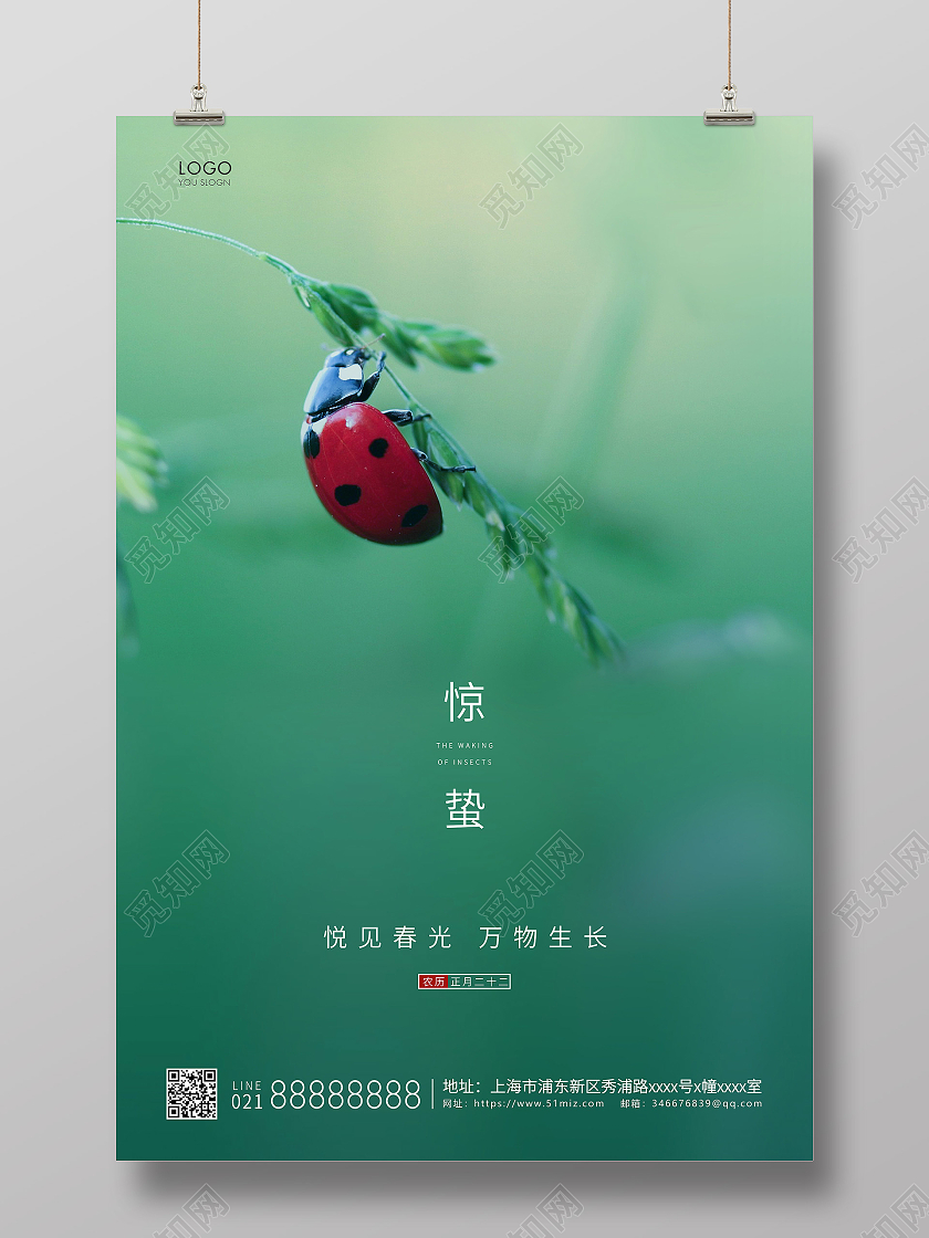 绿色简约二十四节气惊蛰节气宣传海报24节气二十四节气惊蛰