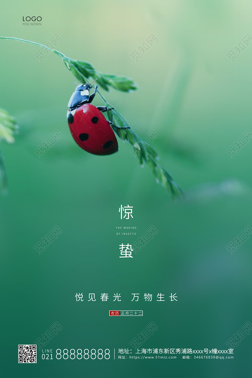 绿色简约二十四节气惊蛰节气宣传海报24节气二十四节气惊蛰
