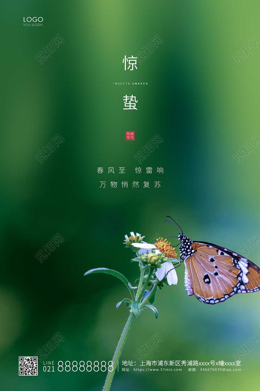 绿色简约二十四节气惊蛰节气宣传海报24节气二十四节气惊蛰